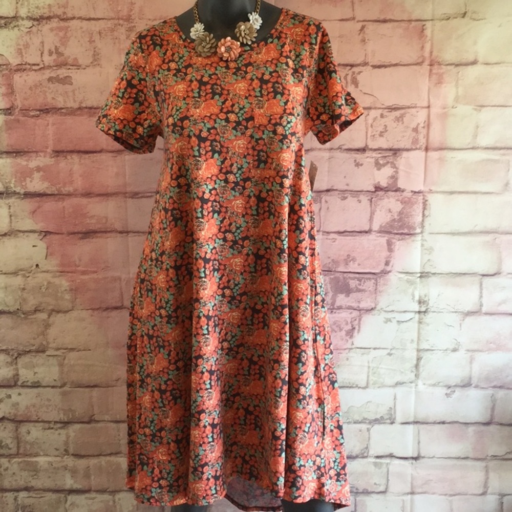 🌹Rose print Small Carly NWT never worn gray/mint